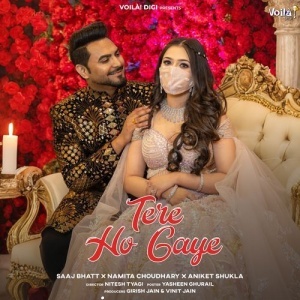 Tere Ho Gaye - Saaj Bhatt, Namita Choudhary